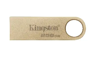 KINGSTON CLE 256GO USB 3.2 DATATRAVELER DTSE9G3/256GO 