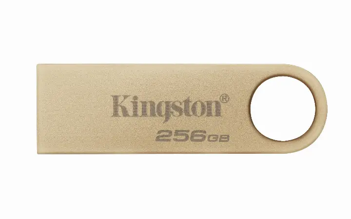 KINGSTON CLE 256GO USB 3.2 DATATRAVELER DTSE9G3/256GO 