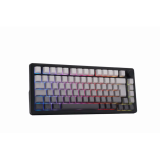 THE G-LAB KEYZ ELITE 300 RGB TRIPLE MODE - GRIS 