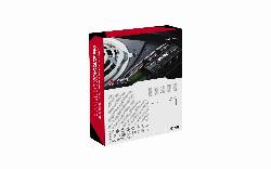 KINGSTON 1TO M.2 NVME GEN4 FURY RENEGADE- SFYRSK/2000G W/HS 