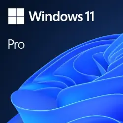 MICROSOFT WINDOWS 11 PRO 64BITS COEM 
