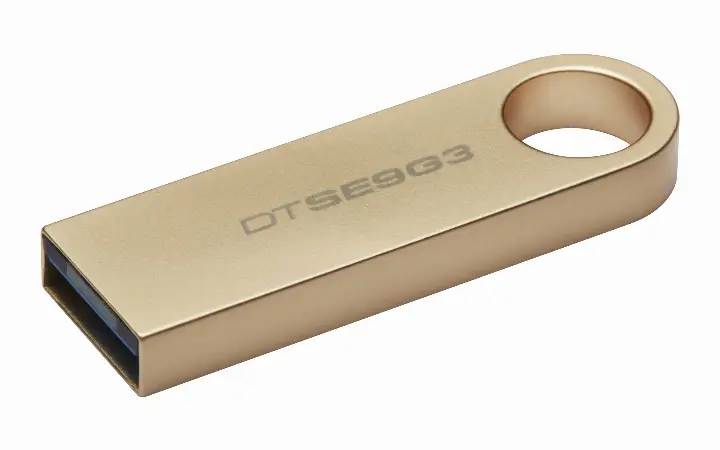 KINGSTON CLE 256GO USB 3.2 DATATRAVELER DTSE9G3/256GO 