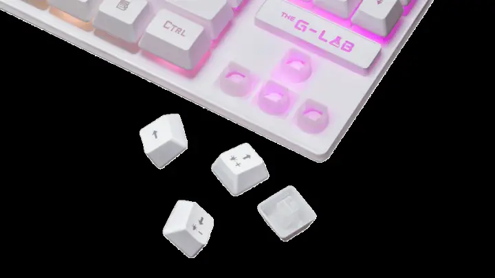 THE G-LAB KEYZ CAESIUMT - BLANC/TKL/FILAIRE 