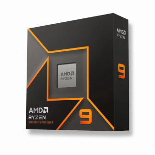 AMD RYZEN 9 9900X - 5.6GHZ/76MO/AM5/WOF 