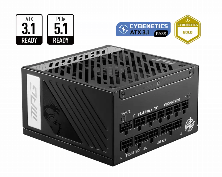 MSI ATX 1000W - 80+ GOLD - MPG A1000GS PCIE5 NOIR 