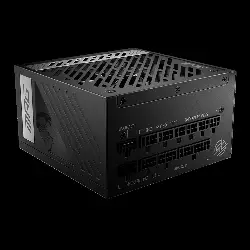 MSI ATX 1000W - 80+ GOLD FM - MPG A1000G PCIE5 