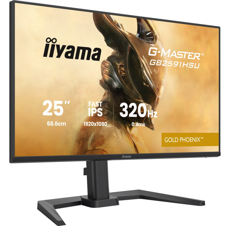 IIYAMA 24.5 FHD/320HZ/FAST IPS/0.4MS/PIVOT/HP/G-SYNC 