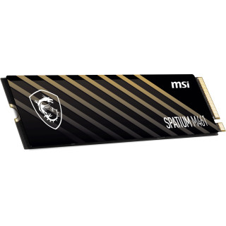 MSI 1TO M.2 NVME GEN4 - SPATIUM M461 