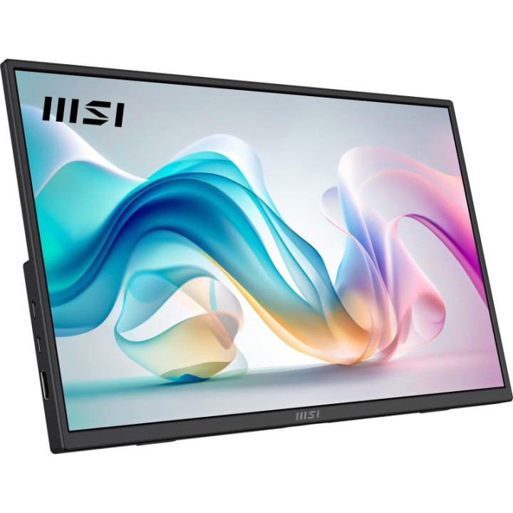 MSI PRO MP165 E6 TELEVISEUR ET MONITEUR PORTABLES MONITEUR PORTABLE NOIR 39.6 CM (15.6) LED 1920 X 1080 PIXELS 