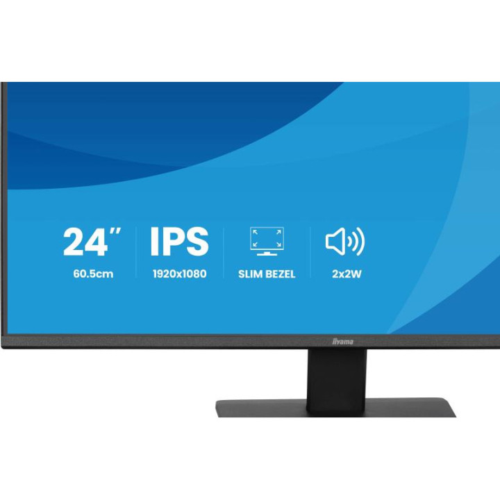 IIYAMA X2491HS-B1 