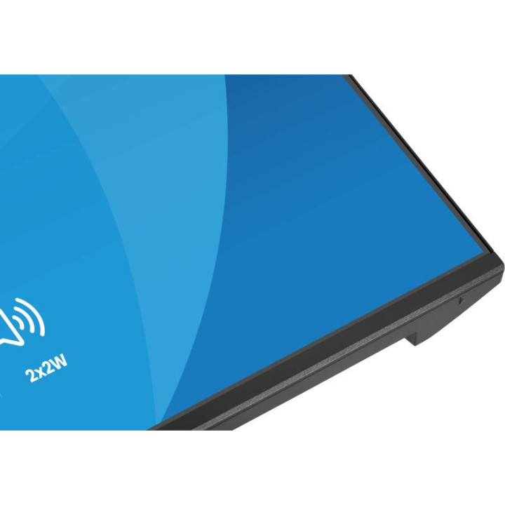IIYAMA X2491HS-B1 