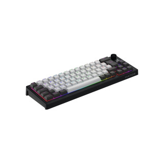 HATOR SKYFALL 65 PRO WIRELESS - GRIS/NOIR 