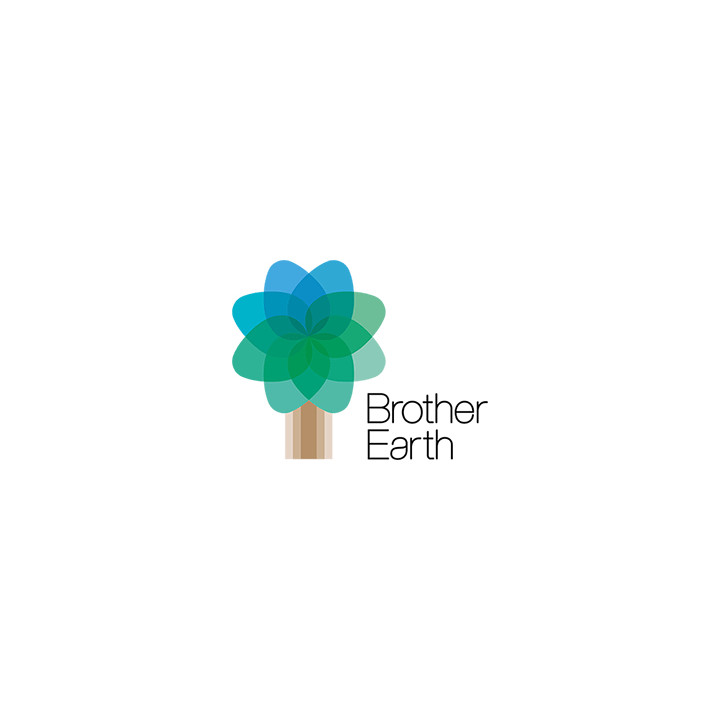 Brother TONER TN-2510XL NOIR