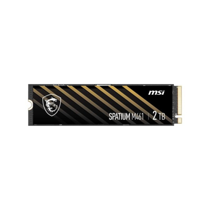 MSI S78-440L1D0-P83 M461 2TB GEN4 NVME 
