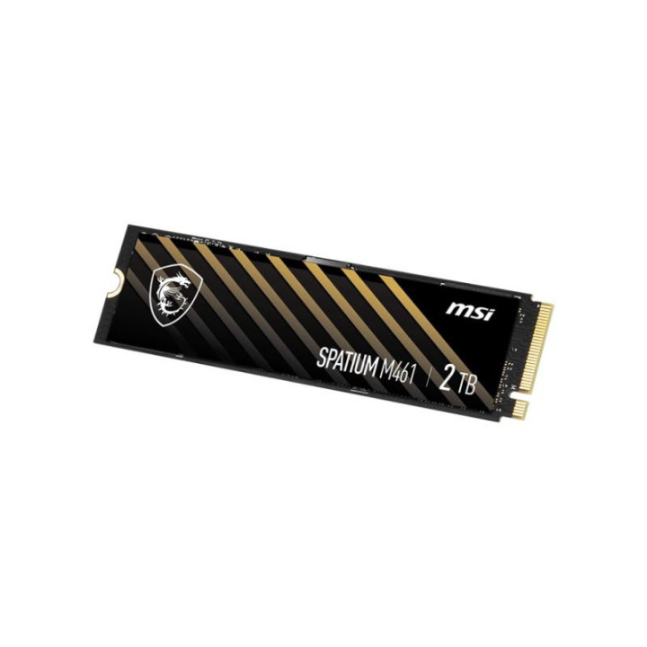 MSI S78-440L1D0-P83 M461 2TB GEN4 NVME 