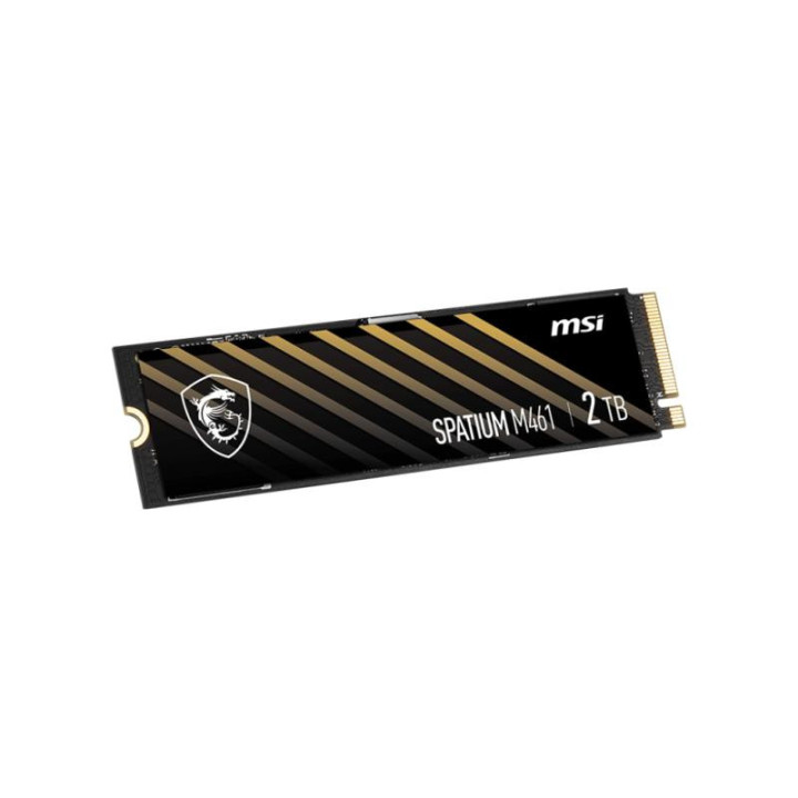 MSI S78-440L1D0-P83 M461 2TB GEN4 NVME 