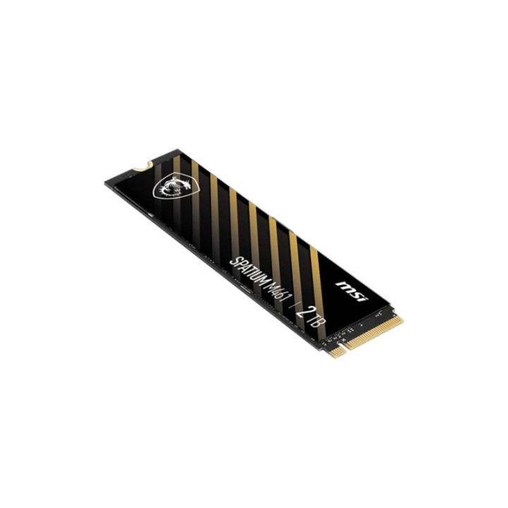 MSI S78-440L1D0-P83 M461 2TB GEN4 NVME 