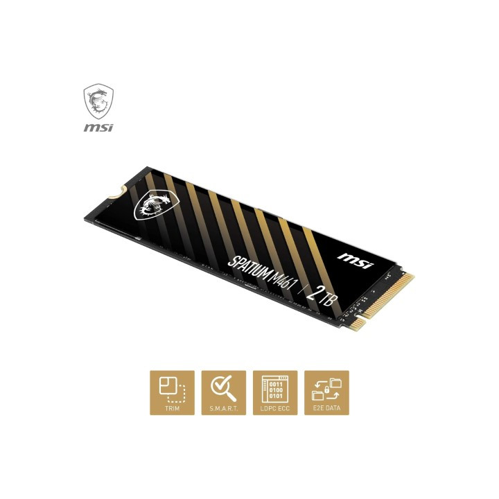 MSI S78-440L1D0-P83 M461 2TB GEN4 NVME 