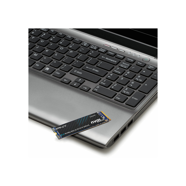 PNY 500 GO NVME GEN4 M.2 - PNY CS2241 