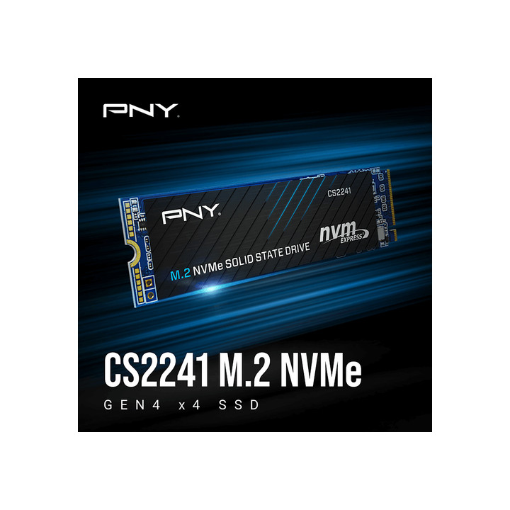 PNY 500 GO NVME GEN4 M.2 - PNY CS2241 
