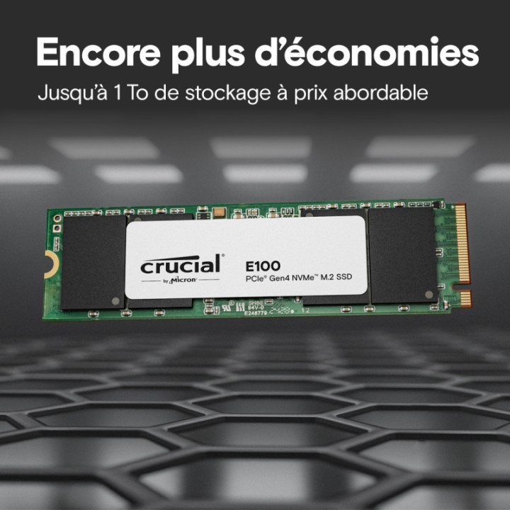 CRUCIAL E100 1T GEN4 2280 TRAY 