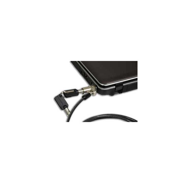 PORT CABLE A CLE - NOBLE WEDGE SLOT 