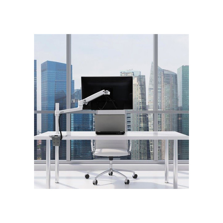 ERGOTRON LX DESK MOUNT LCD MONITOR ARM 