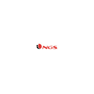 NGS ADJUSTABLE ERGONOMIC 
