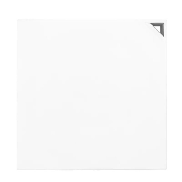 ASUS RT-AX57 GO ROUTEUR SANS FIL GIGABIT ETHERNET BI-BANDE (2.4 GHZ / 5 GHZ) BLANC 