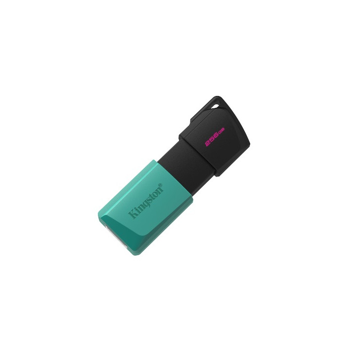 KINGSTON 256GB DT EXODIA M USB3.2 GEN 1 