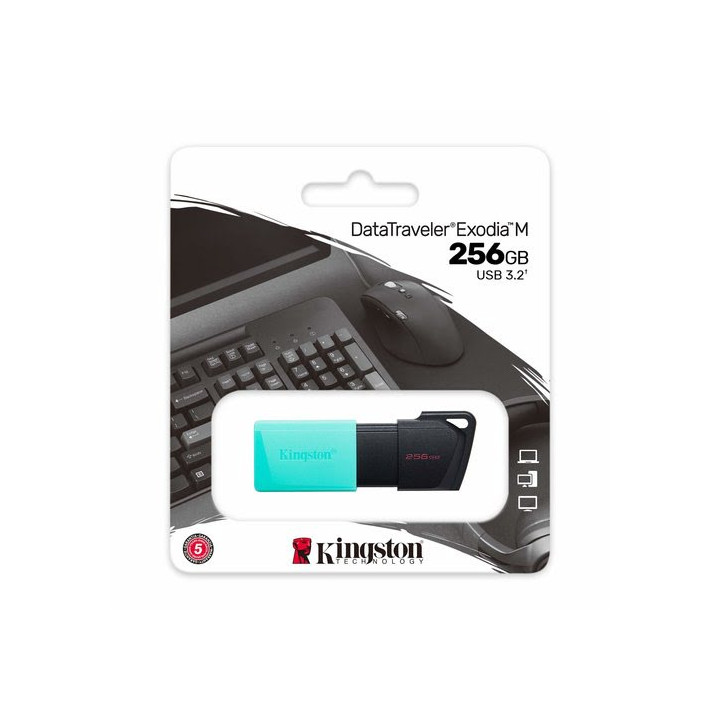 KINGSTON 256GB DT EXODIA M USB3.2 GEN 1 