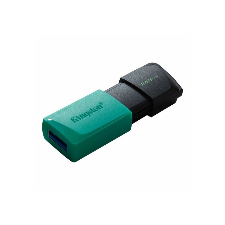 KINGSTON 256GB DT EXODIA M USB3.2 GEN 1 