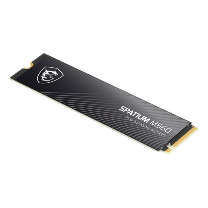 MSI 2TO M.2 NVME GEN5 - SPATIUM M560 