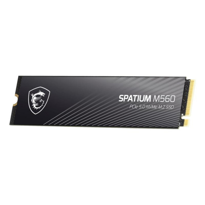 MSI 2TO M.2 NVME GEN5 - SPATIUM M560 