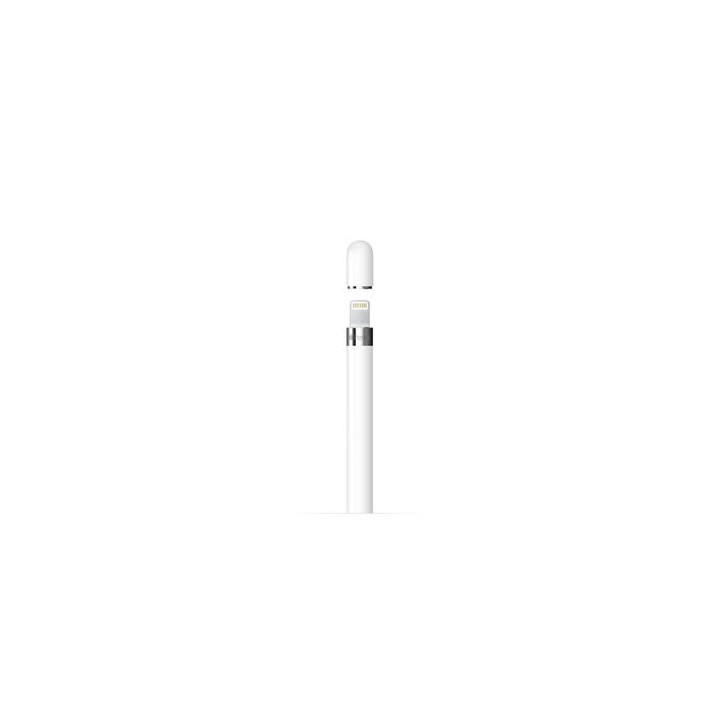 APPLE PENCIL 1ER GENERATION - BLANC# 