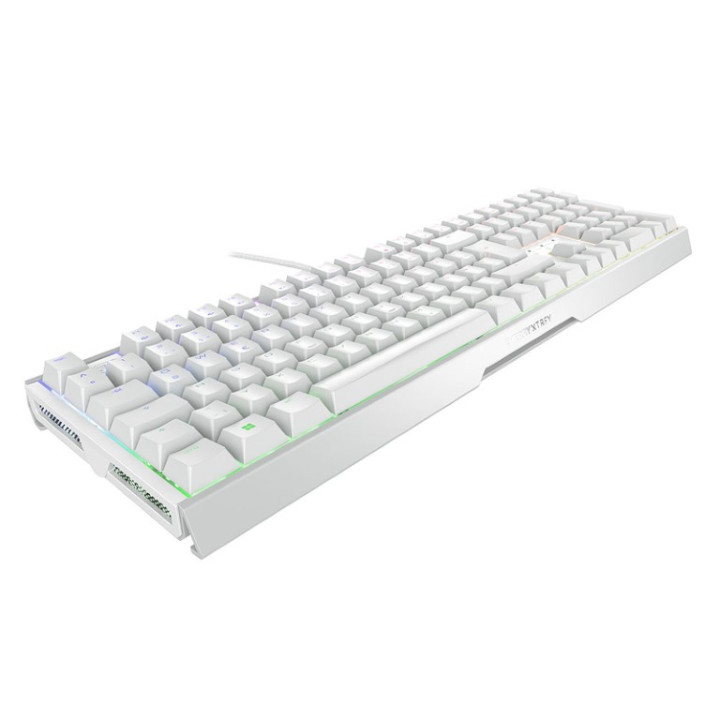Cherry MX 3.1 RGB - FILAIRE - BLANC