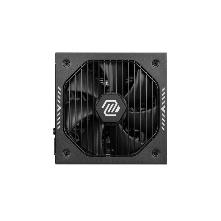 MSI MAG A650GLS PCIE5 