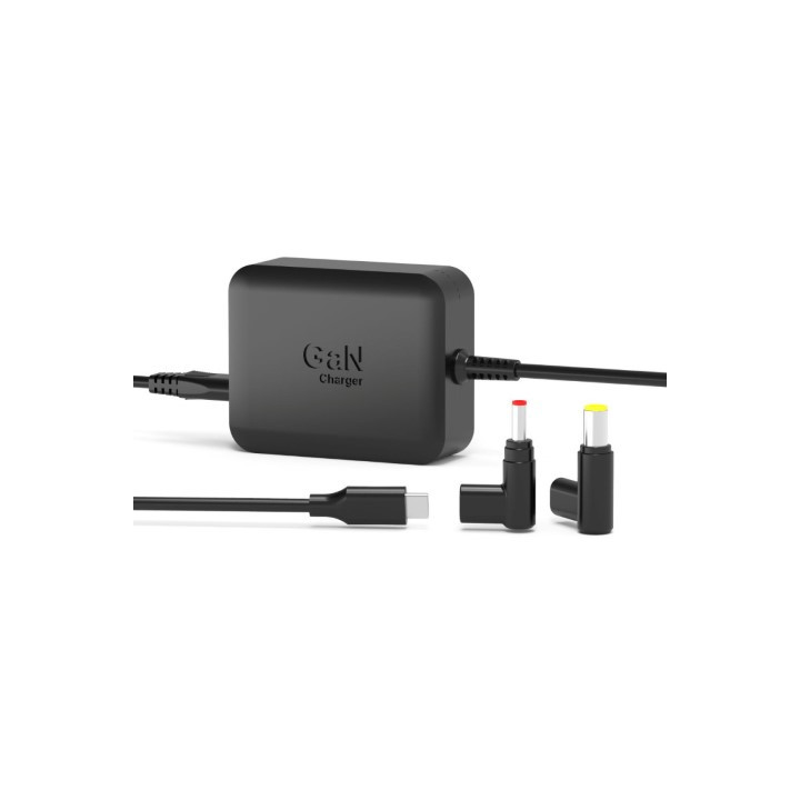 Port ALIMENTATION SECTEUR GAN 100W POUR DELL-2 EMBOUTS