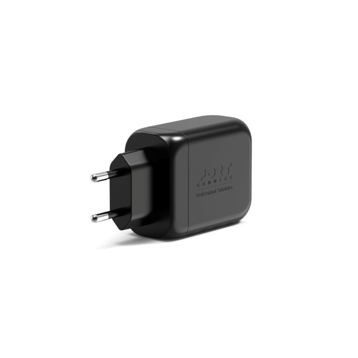 Port CHARGEUR MURAL GAN 65W - 2 PORTS + CABLE USB-C 2M