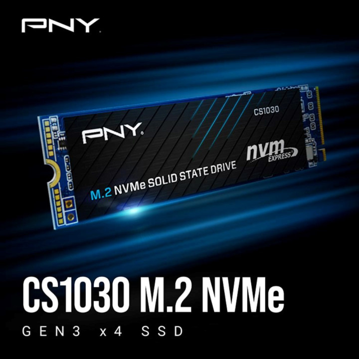 PNY SSD 500GO GEN3 - M280CS1030-500-RB