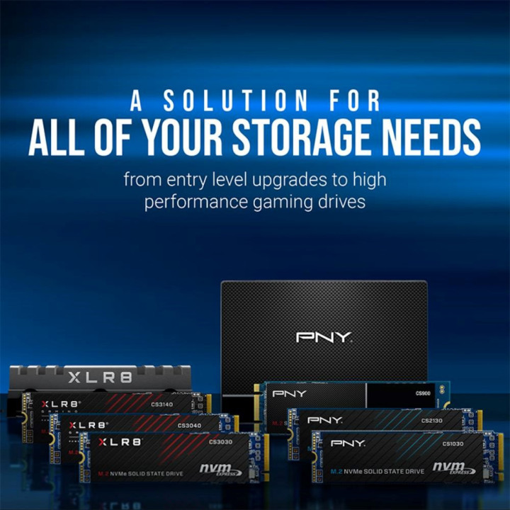 PNY SSD 500GO GEN3 - M280CS1030-500-RB
