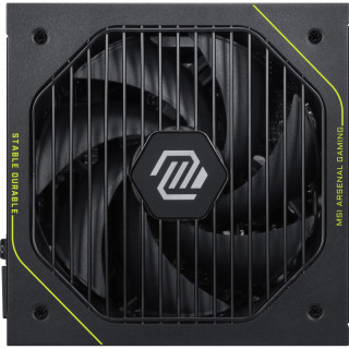 MSI MAG A1200PLS PCIE5 