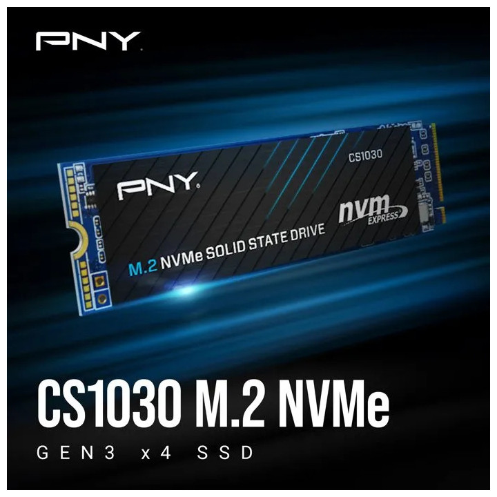 PNY 2TB CS1030 NVME M.2 GEN3 - M280CS1030-2TB-RB