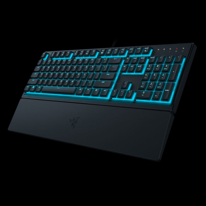RAZER ORNATA V3 X 