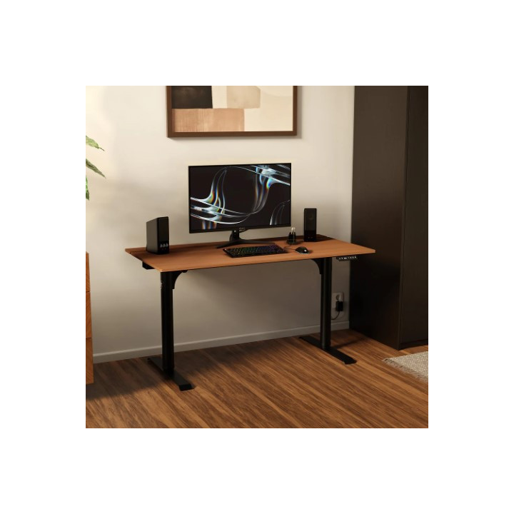 Arozzi ARENA NORDICO - MARRON FONCE