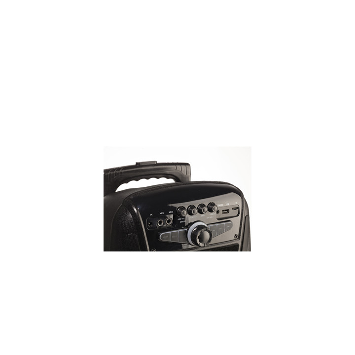 NGS WILD MAMBO 35W BLUETOOTH/USB/AUX - NOIR# 