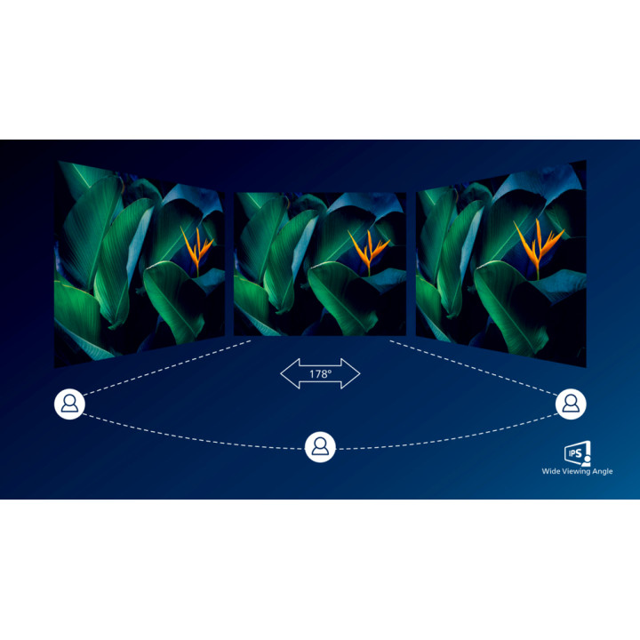 PHILIPS 2000 SERIES 27E2N2500/00 ECRAN PLAT DE PC 68.6 CM (27) 2560 X 1440 PIXELS QUAD HD LCD NOIR 