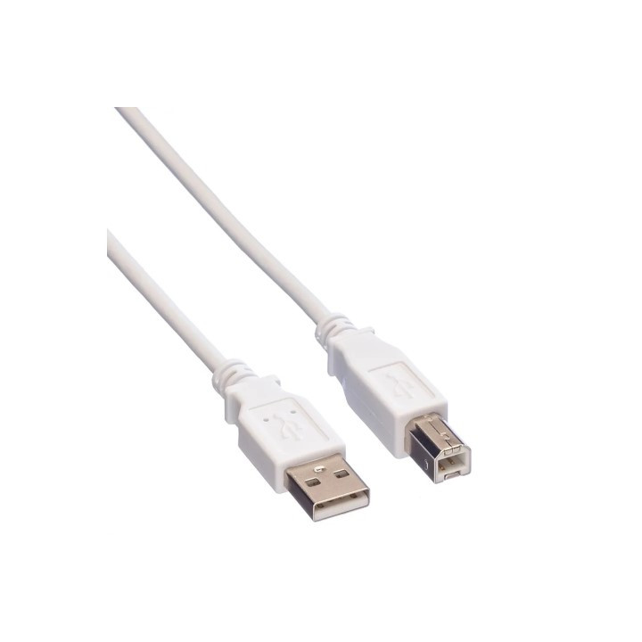 VALUE CABLE USB-A 2.0 VERS USB-B MALE/MALE- 1.8M - BLANC