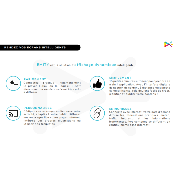 EMITY ABONNEMENT PREMIUM 1 AN E-MANAGER - FORM0010-1Y 