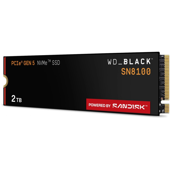 SANDISK OPTIMUS 5100 1TO 